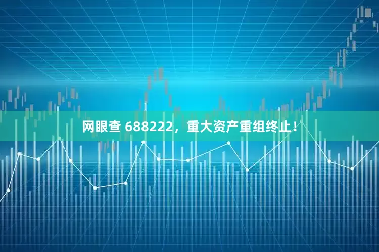 网眼查 688222，重大资产重组终止！