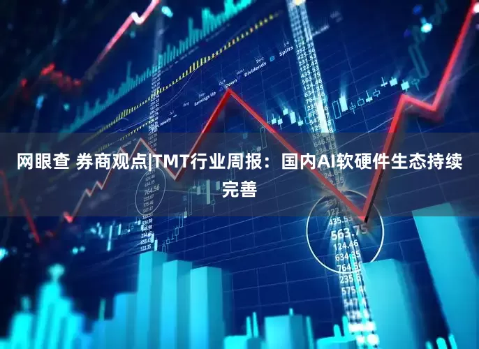 网眼查 券商观点|TMT行业周报：国内AI软硬件生态持续完善