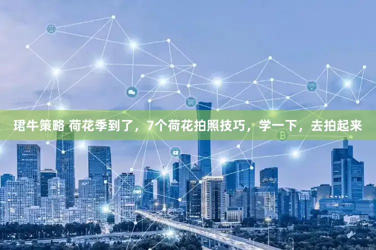 珺牛策略 荷花季到了，7个荷花拍照技巧，学一下，去拍起来