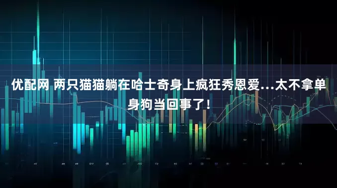 优配网 两只猫猫躺在哈士奇身上疯狂秀恩爱…太不拿单身狗当回事了！