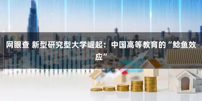网眼查 新型研究型大学崛起：中国高等教育的“鲶鱼效应”