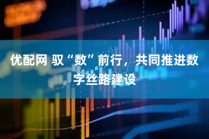 优配网 驭“数”前行，共同推进数字丝路建设